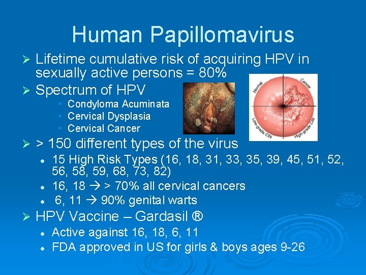 Human Papillomavirus Lifetime cumulative risk of acquiring HPV in sexually active persons = 80%