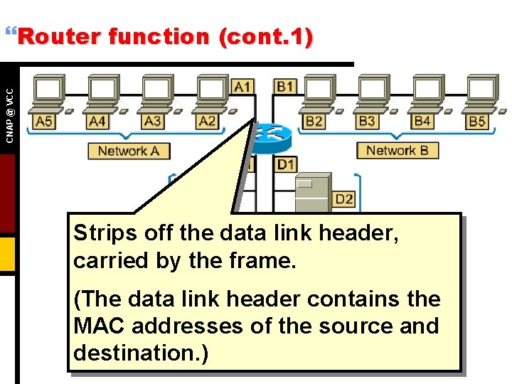 CNAP @ VCC }Router function (cont. 1) Strips off the data link header, carried