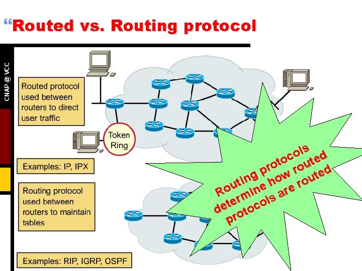 CNAP @ VCC }Routed vs. Routing protocol ls d o c te o t