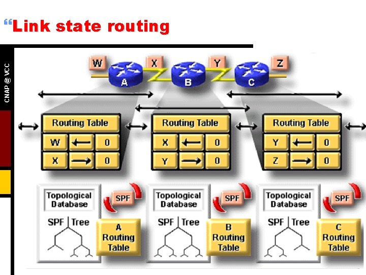 CNAP @ VCC }Link state routing 