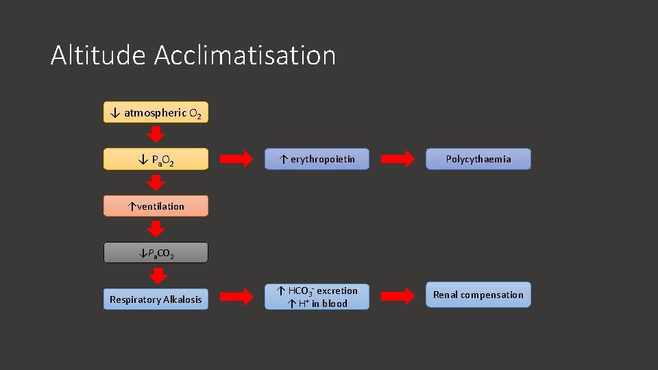 Altitude Acclimatisation ↓ atmospheric O 2 ↓ P a O 2 ↑ erythropoietin Polycythaemia