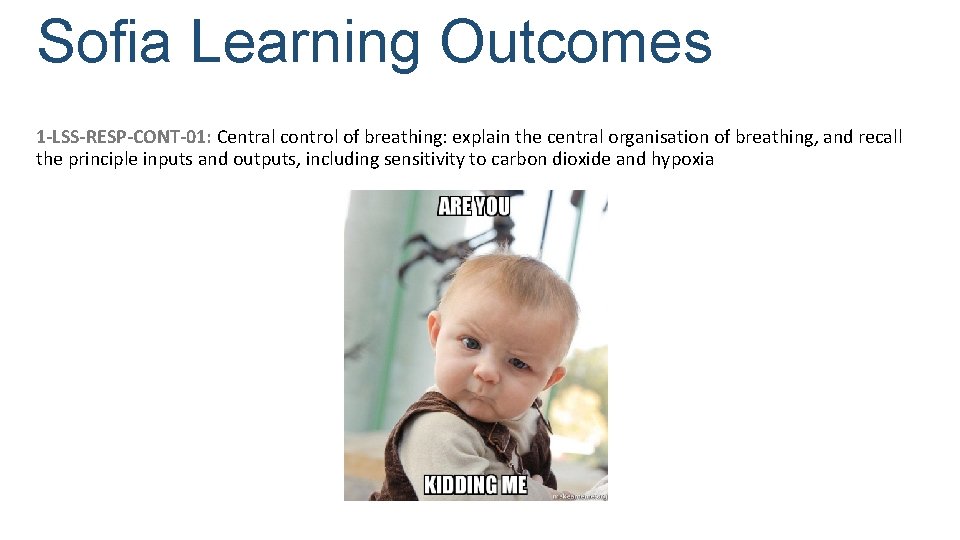 Sofia Learning Outcomes 1 -LSS-RESP-CONT-01: Central control of breathing: explain the central organisation of