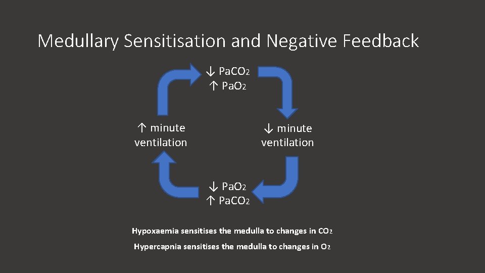 Medullary Sensitisation and Negative Feedback ↓ Pa. CO 2 ↑ Pa. O 2 ↑