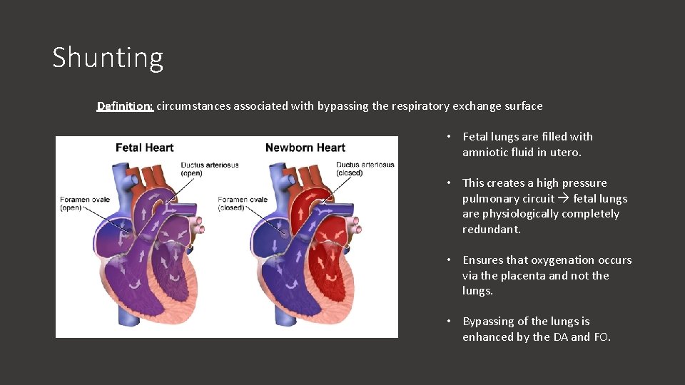 Shunting Definition: circumstances associated with bypassing the respiratory exchange surface • Fetal lungs are