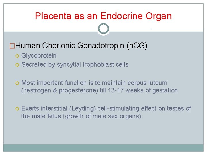 Placenta as an Endocrine Organ �Human Chorionic Gonadotropin (h. CG) Glycoprotein Secreted by syncytial Placenta as an Endocrine Organ �Human Chorionic Gonadotropin (h. CG) Glycoprotein Secreted by syncytial