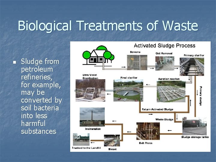 Biological Treatments of Waste n Sludge from petroleum refineries, for example, may be converted Biological Treatments of Waste n Sludge from petroleum refineries, for example, may be converted