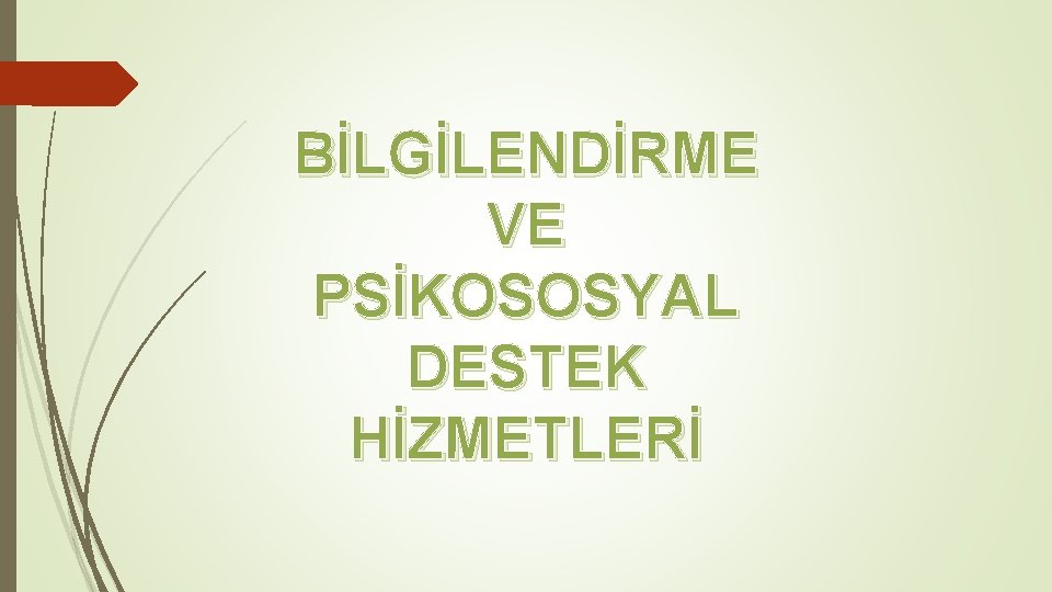 BİLGİLENDİRME VE PSİKOSOSYAL DESTEK HİZMETLERİ 