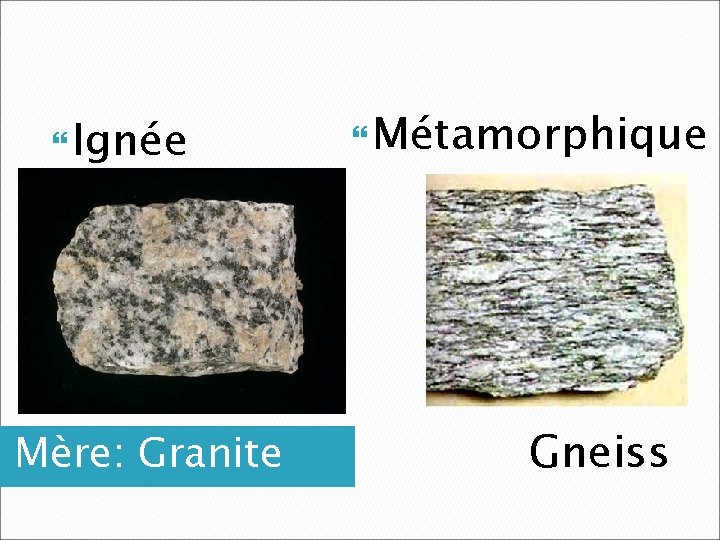  Ignée Mère: Granite Métamorphique Gneiss 
