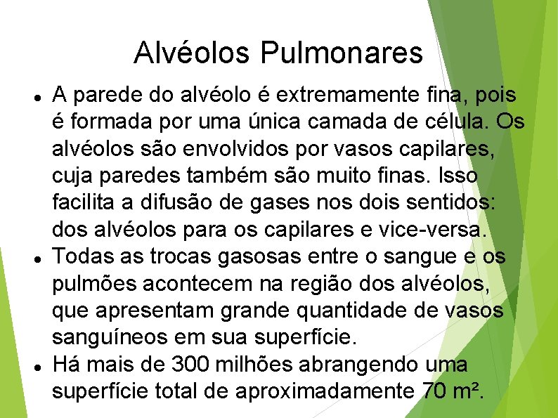 Alvéolos Pulmonares A parede do alvéolo é extremamente fina, pois é formada por uma