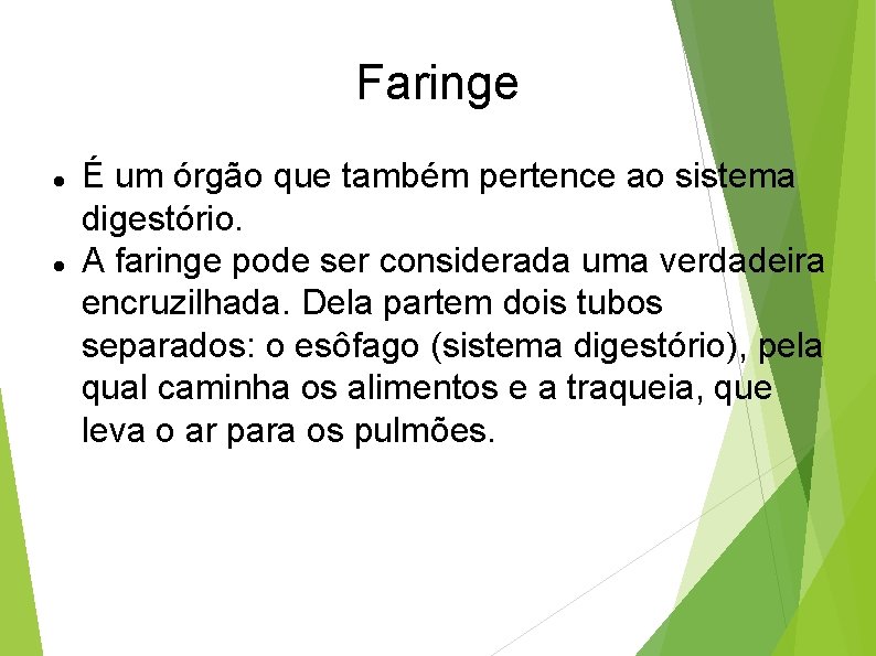 Faringe É um órgão que também pertence ao sistema digestório. A faringe pode ser