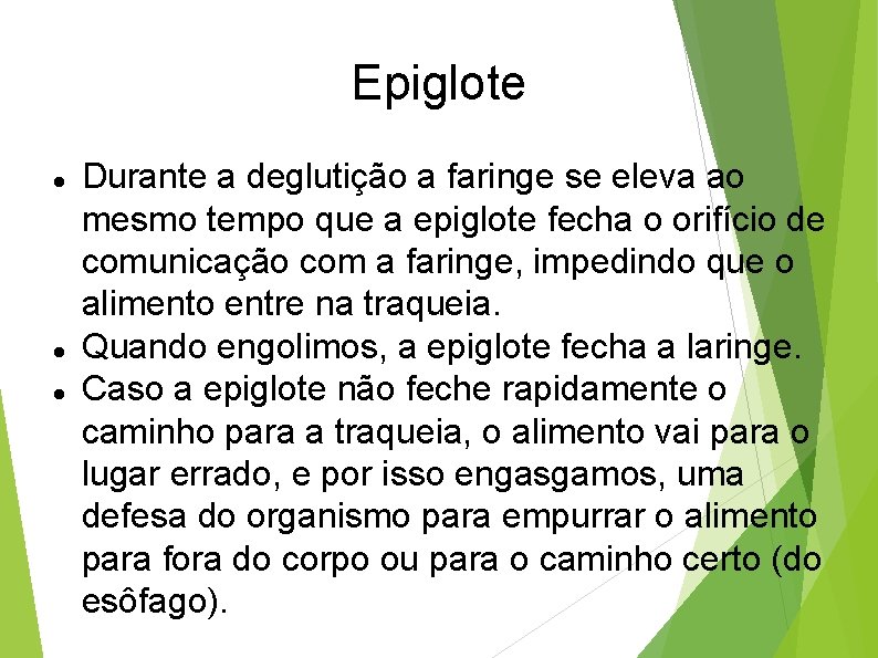 Epiglote Durante a deglutição a faringe se eleva ao mesmo tempo que a epiglote