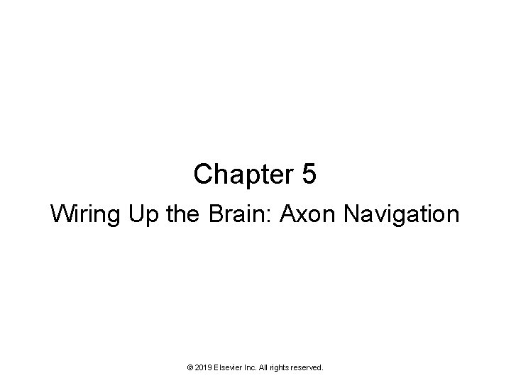 Chapter 5 Wiring Up the Brain: Axon Navigation © 2019 Elsevier Inc. All rights
