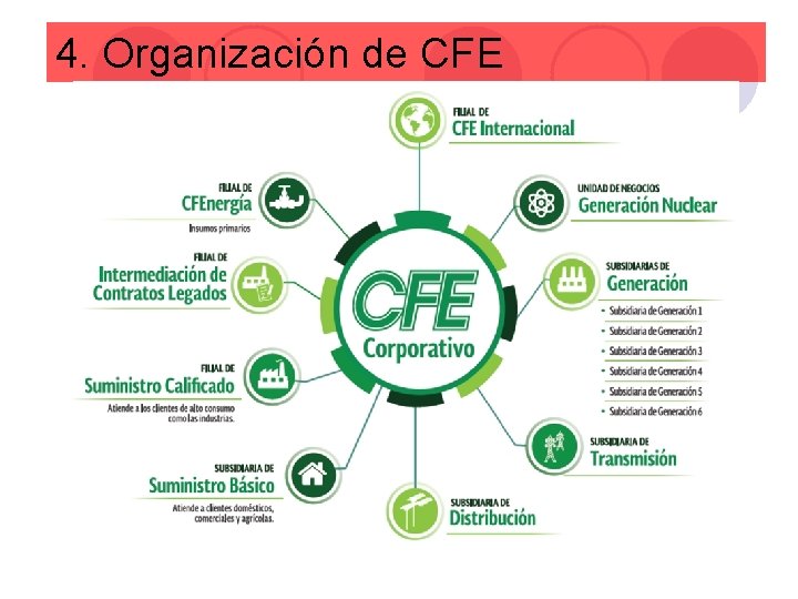 4. Organización de CFE 