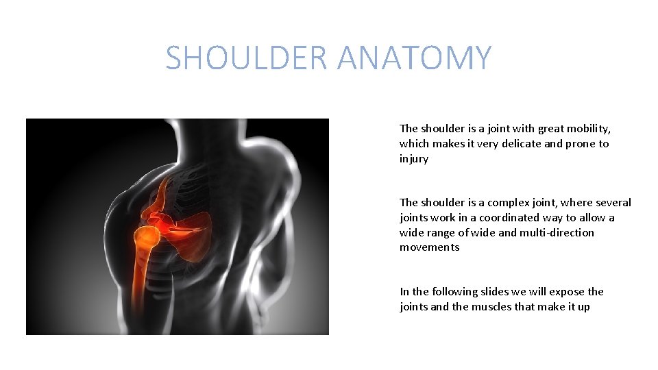 SHOULDER ANATOMY The shoulder is a joint with great mobility, which makes it very
