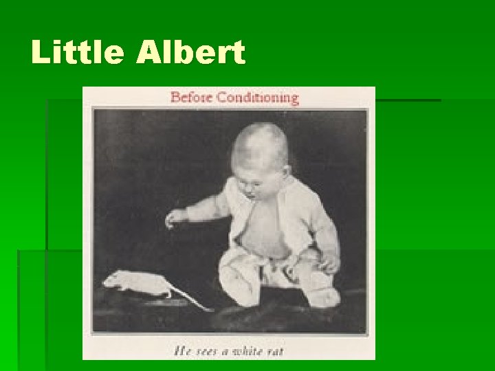 Little Albert 
