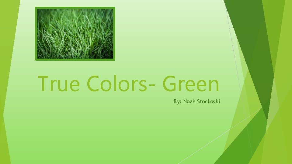 True Colors- Green By: Noah Stockoski 