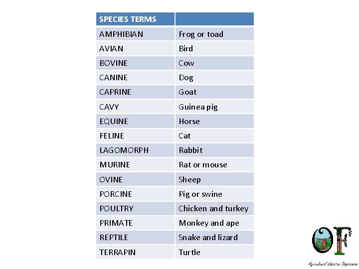 SPECIES TERMS AMPHIBIAN Frog or toad AVIAN Bird BOVINE Cow CANINE Dog CAPRINE Goat