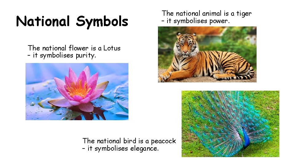 National Symbols The national animal is a tiger – it symbolises power. The national