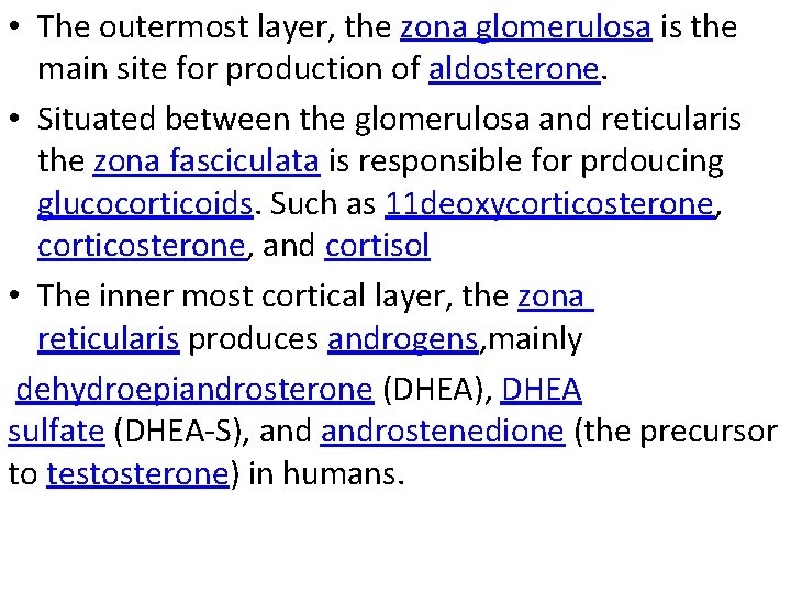  • The outermost layer, the zona glomerulosa is the main site for production