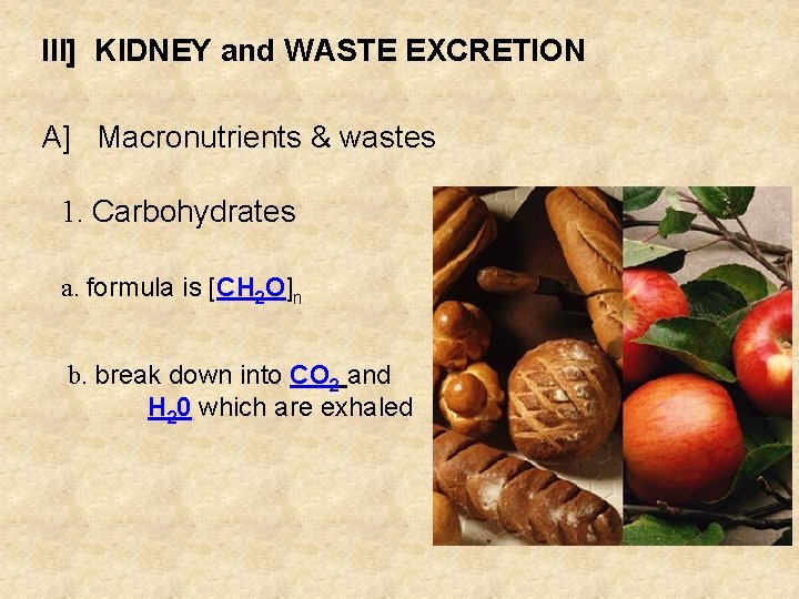 III KIDNEY and WASTE EXCRETION A Macronutrients wastes