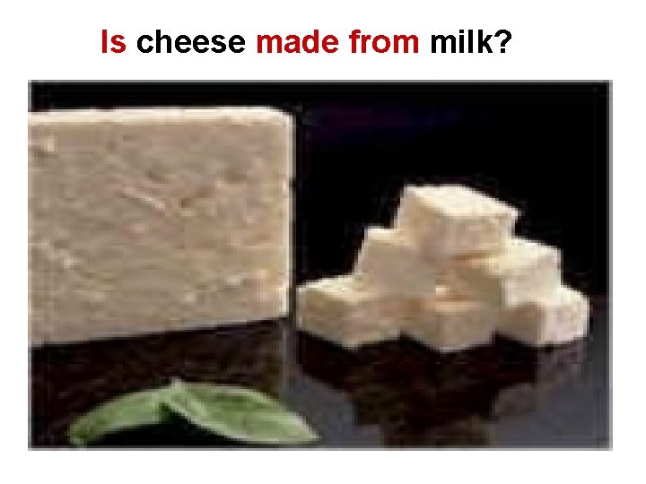 Is cheese made from milk? 
