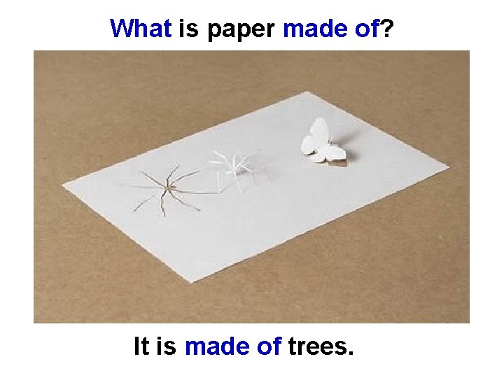 What is paper made of? It is made of trees. 