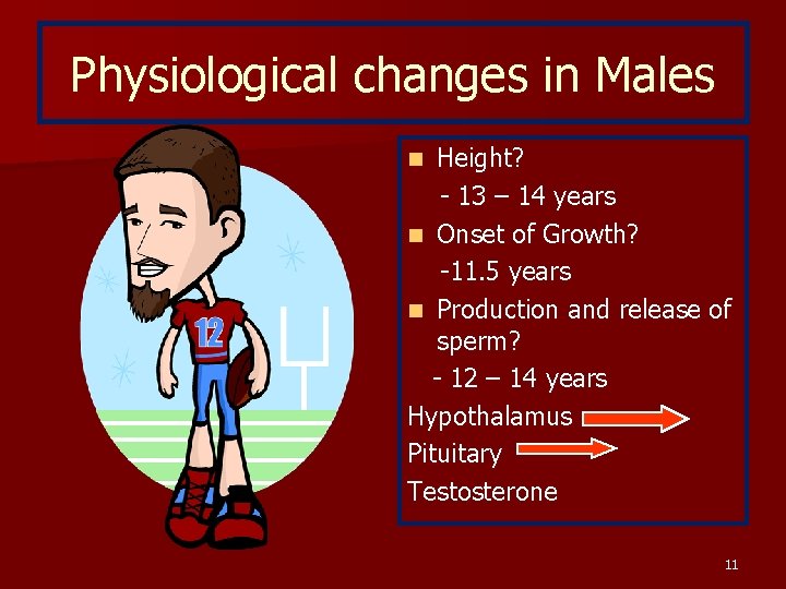 Physiological changes in Males Height? - 13 – 14 years n Onset of Growth?