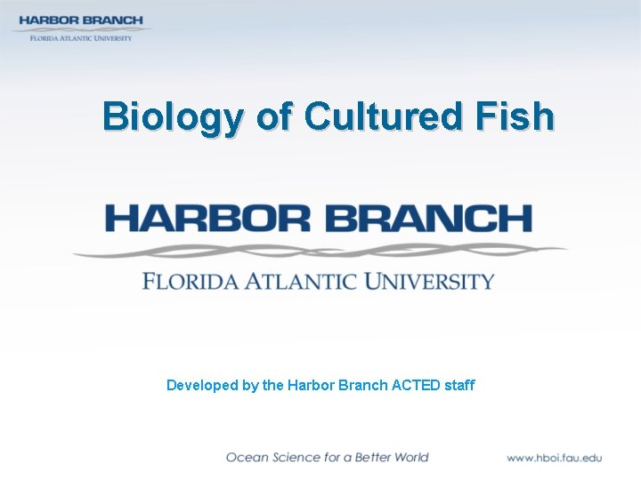 Biology of Cultured Fish Developed by the Harbor Branch ACTED staff 