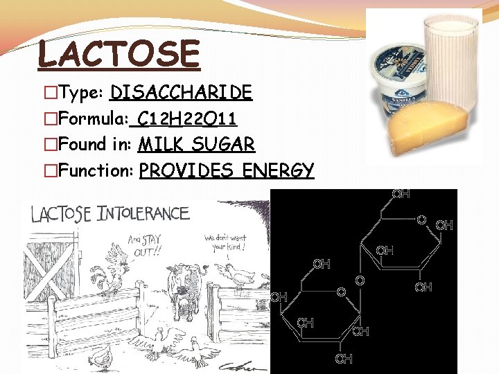 LACTOSE �Type: DISACCHARIDE �Formula: C 12 H 22 O 11 �Found in: MILK SUGAR
