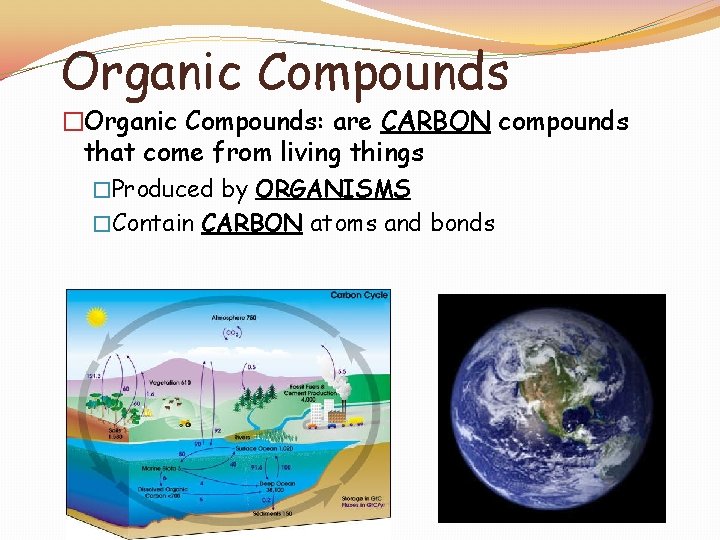 Organic Compounds �Organic Compounds: are CARBON compounds that come from living things �Produced by