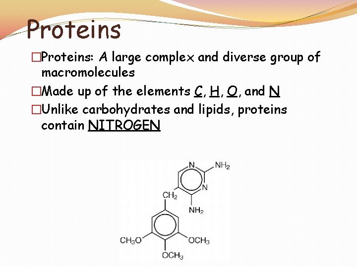 Proteins �Proteins: A large complex and diverse group of macromolecules �Made up of the