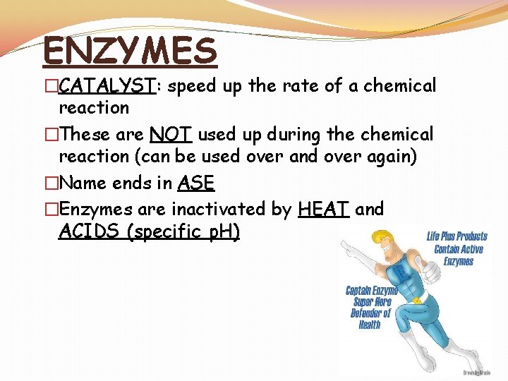 ENZYMES �CATALYST: speed up the rate of a chemical reaction �These are NOT used