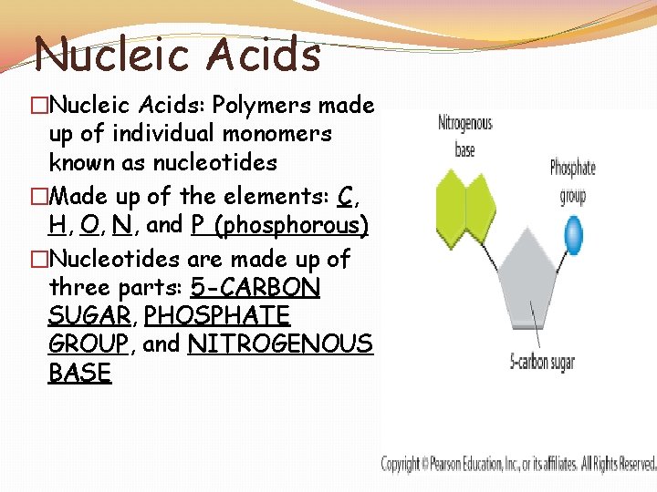 Nucleic Acids �Nucleic Acids: Polymers made up of individual monomers known as nucleotides �Made