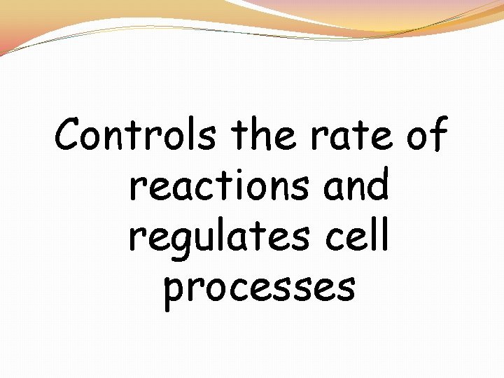 Controls the rate of reactions and regulates cell processes 