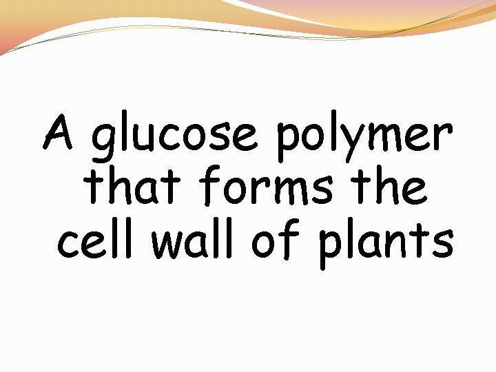 A glucose polymer that forms the cell wall of plants 
