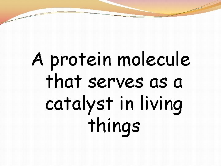 A protein molecule that serves as a catalyst in living things 