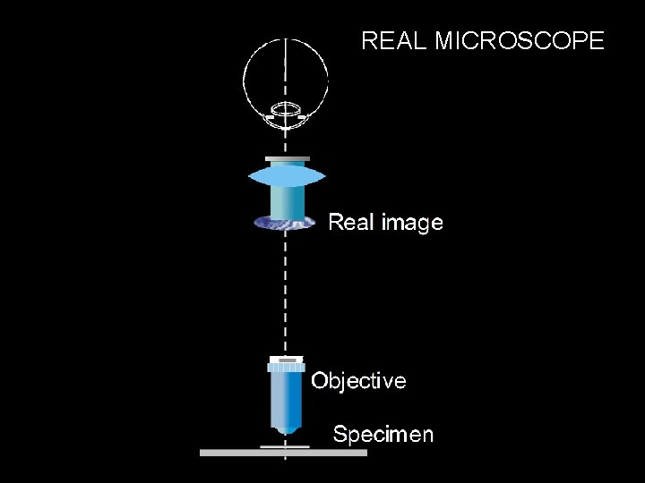 Ophthalmic Optical Instruments I Telescopes and Microscopes C
