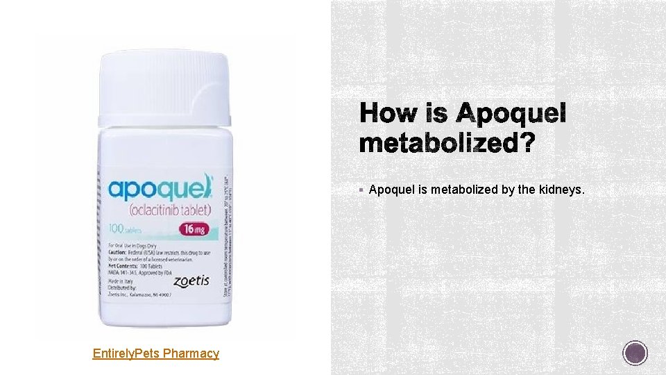 § Apoquel is metabolized by the kidneys. Entirely. Pets Pharmacy 