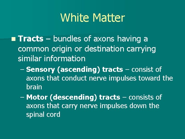 White Matter n Tracts – bundles of axons having a common origin or destination