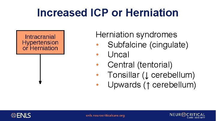 Increased ICP or Herniation syndromes • Subfalcine (cingulate) • Uncal • Central (tentorial) •