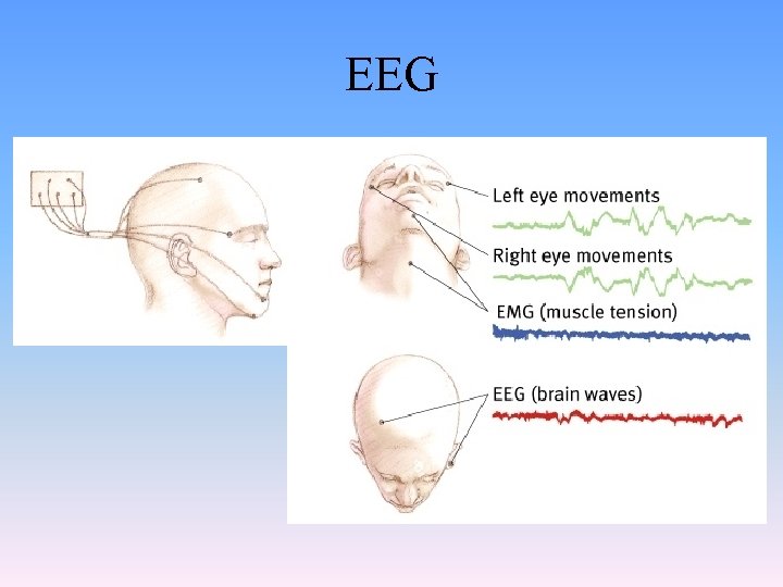 EEG 