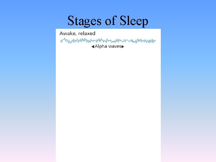 Stages of Sleep 