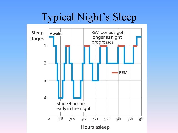 Typical Night’s Sleep 