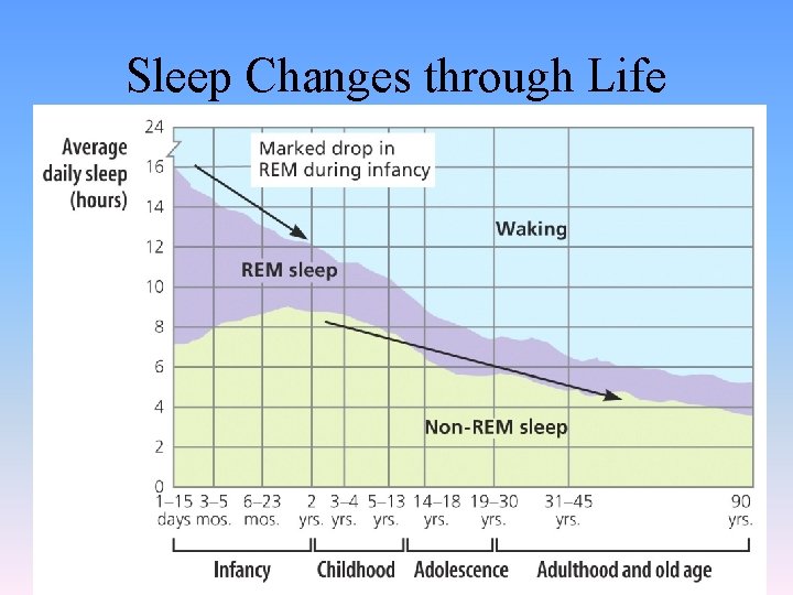 Sleep Changes through Life 