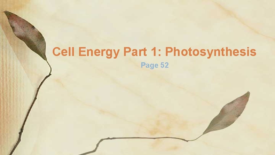 Cell Energy Part 1: Photosynthesis Page 52 