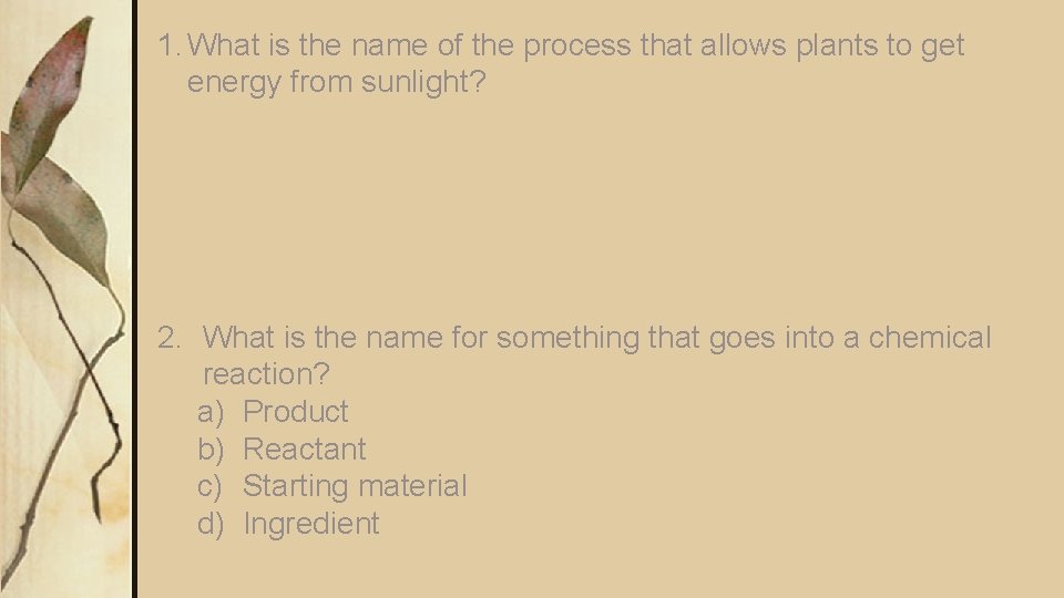 1. What is the name of the process that allows plants to get energy