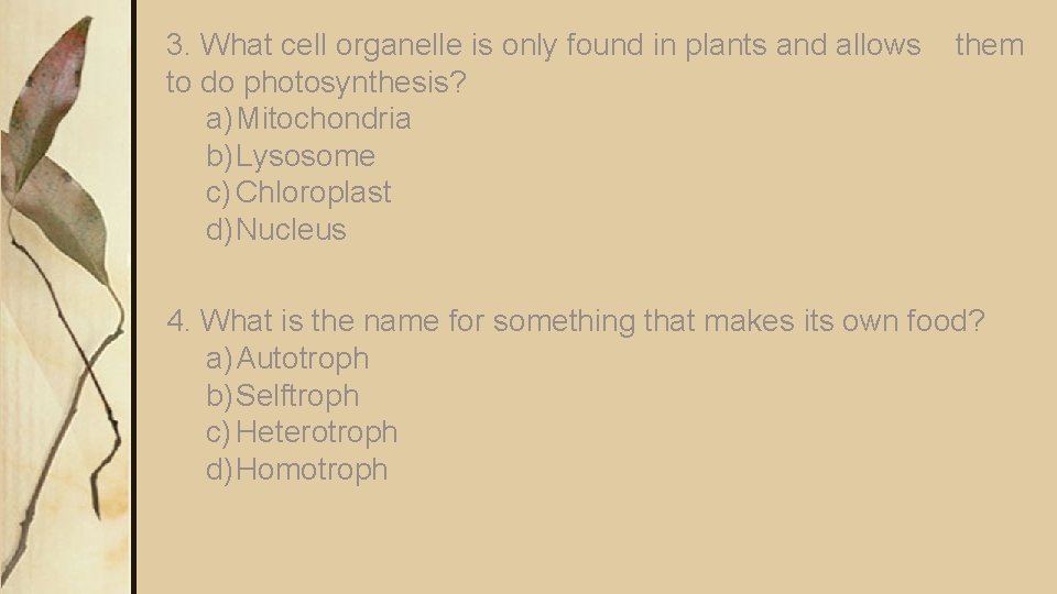 3. What cell organelle is only found in plants and allows to do photosynthesis?