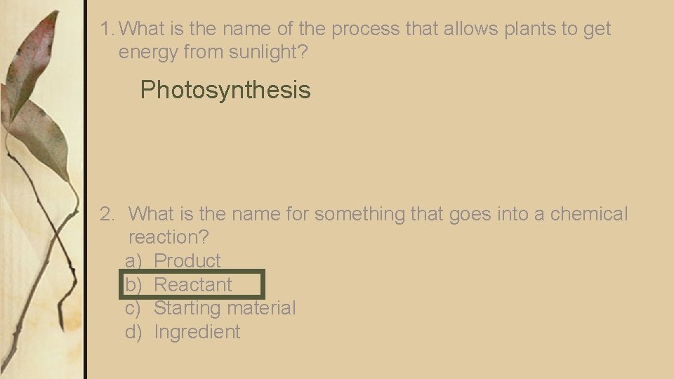 1. What is the name of the process that allows plants to get energy