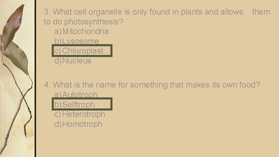3. What cell organelle is only found in plants and allows to do photosynthesis?