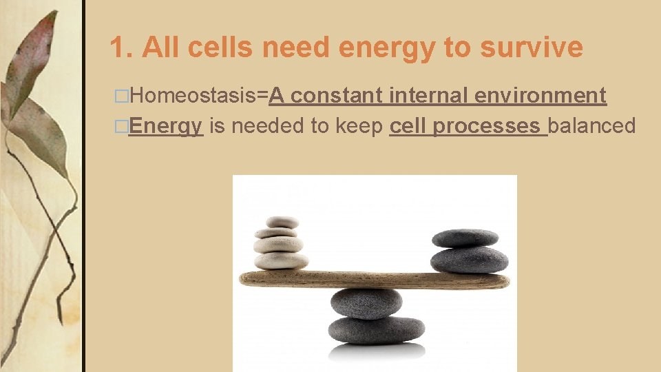 1. All cells need energy to survive �Homeostasis=A constant internal environment �Energy is needed